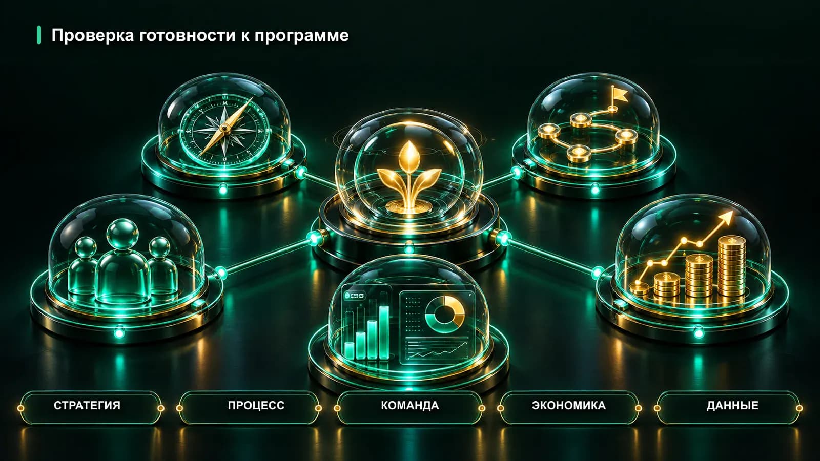 Пять блоков проверки готовности программы амбассадоров